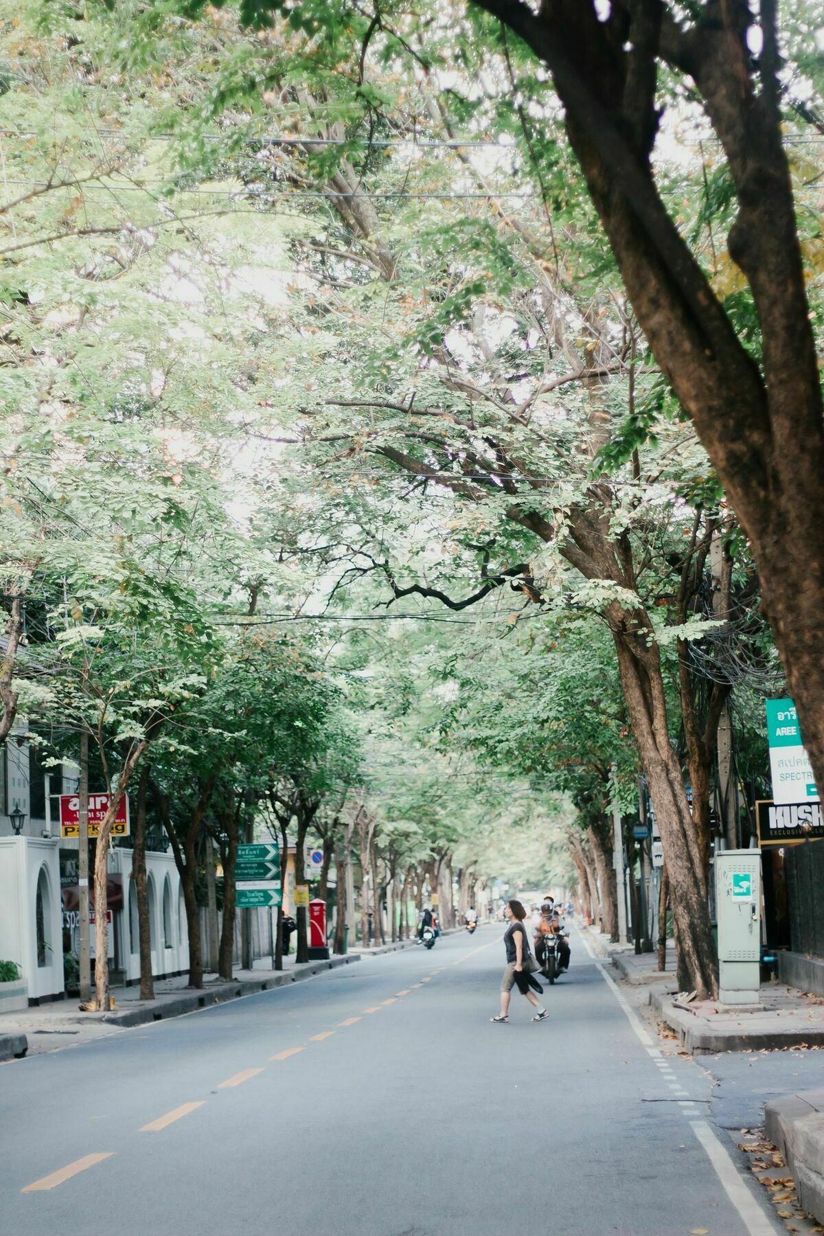 Weeping Willow Sukhumvit 26 Bangkok Exterior foto